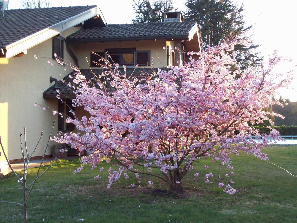 B&B Il Ciliegio Lomnago Kültér fotó